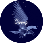 Corvus