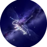 cygnus